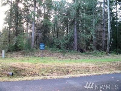 8404 Broughton (Lot 4) - Photo 1
