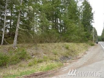 12502 Crescent Valley Dr - Photo 1