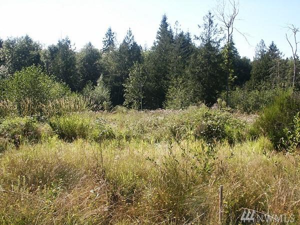 106 Rice Park Rd - Photo 1