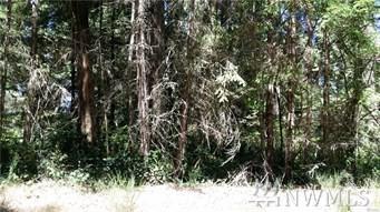11119 Breaker Wy - Photo 1