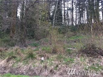 0 Madrona Dr - Photo 1