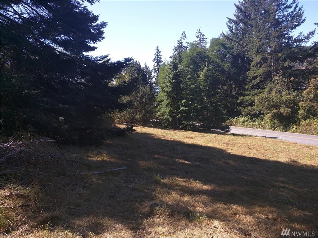 0-XXX Deer Harbor Rd - Photo 1