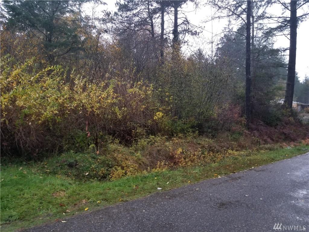 0 Willchar Blvd - Photo 1