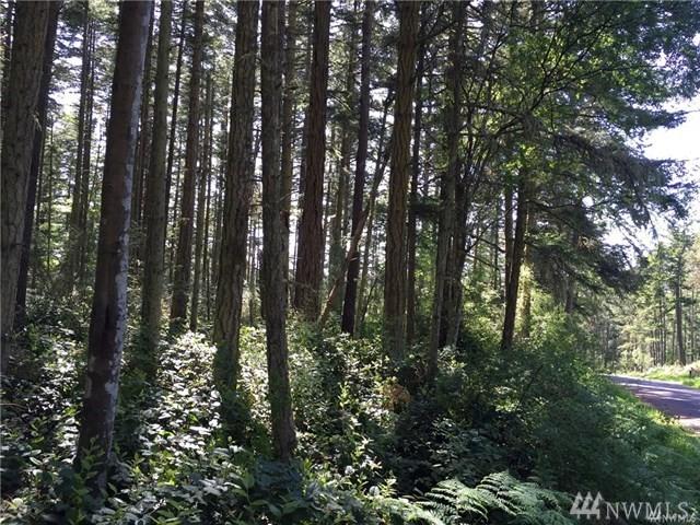 1140 Pavey Blvd - Photo 1