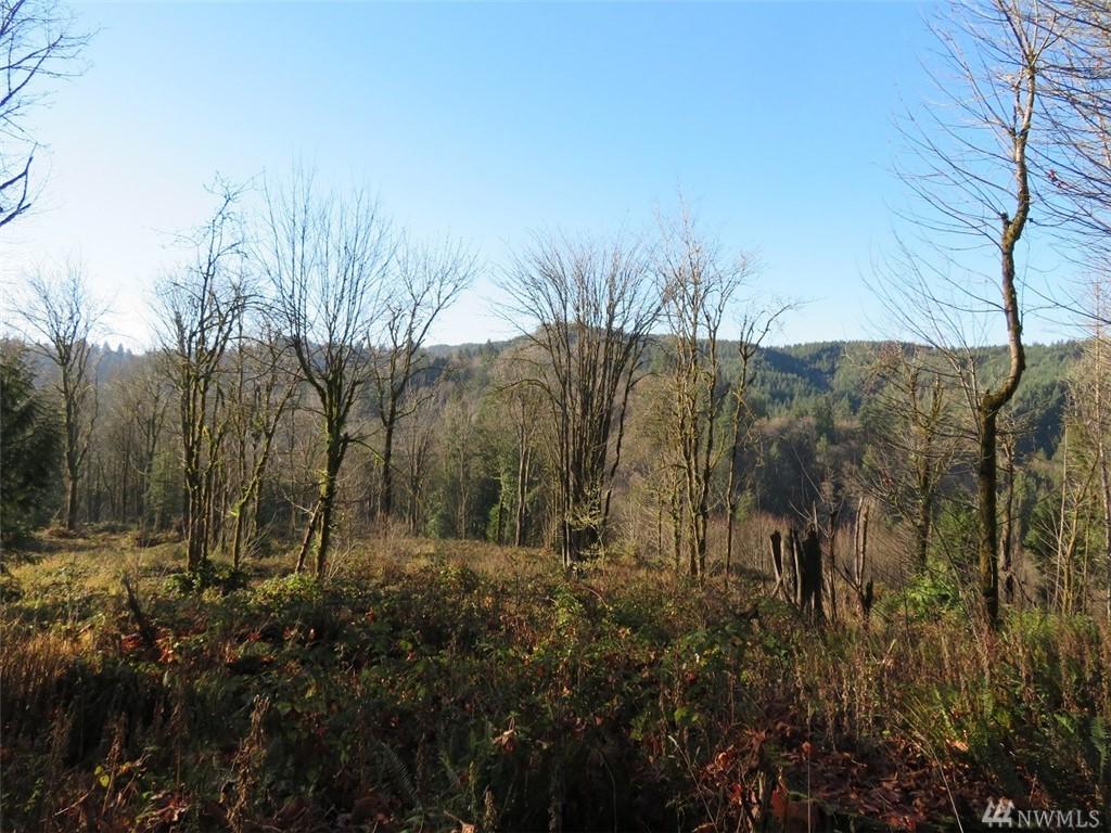 0-XXX Clark Creek Rd - Photo 1
