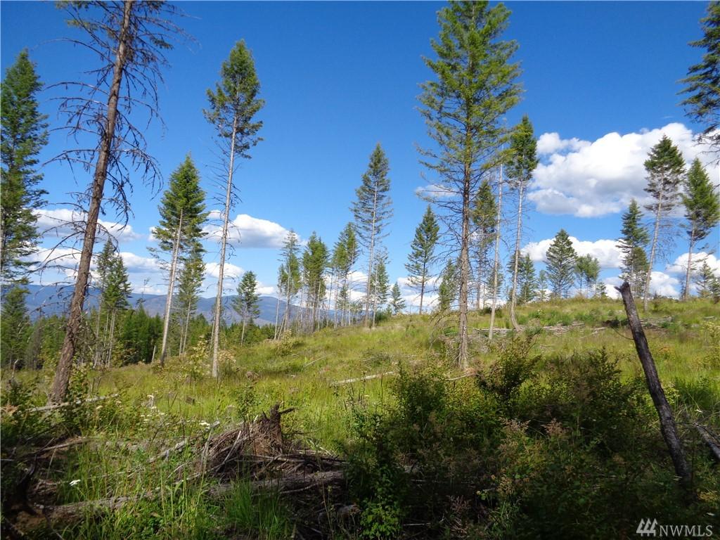 0-Lot 38 4th Of July Creek Rd - Photo 1