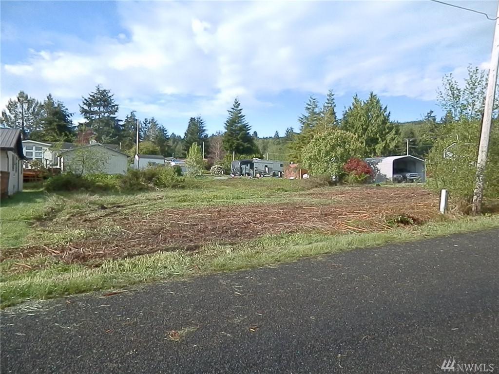 0 Maple St - Photo 1