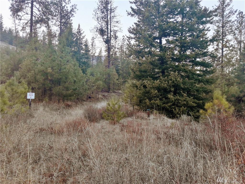 35680 Spruce Grouse Lane - Photo 1