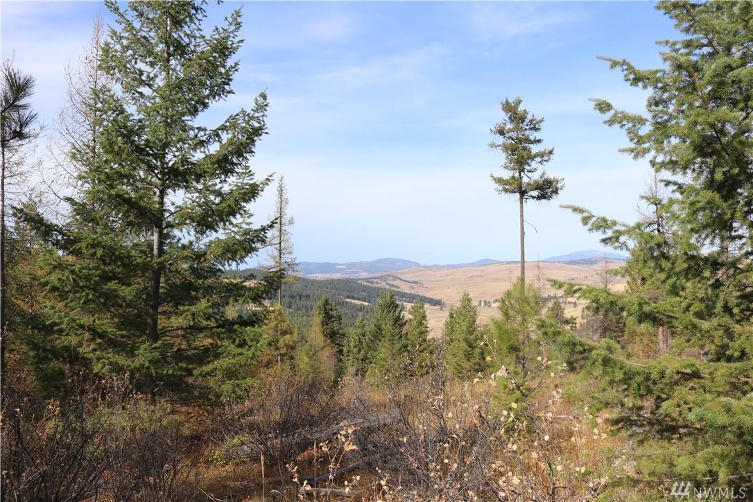 0 Wilcox Mountain Rd - Photo 1