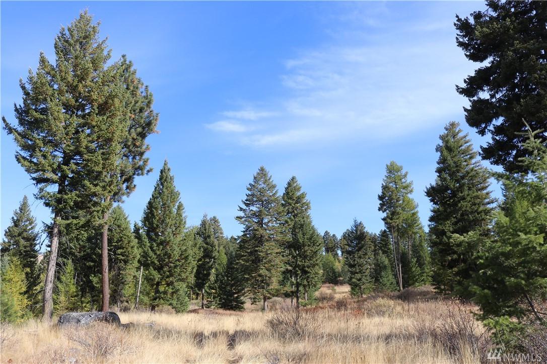 0 Wilcox Mountain Rd - Photo 1