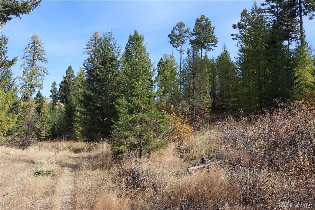 0 Wilcox Mountain Rd - Photo 1