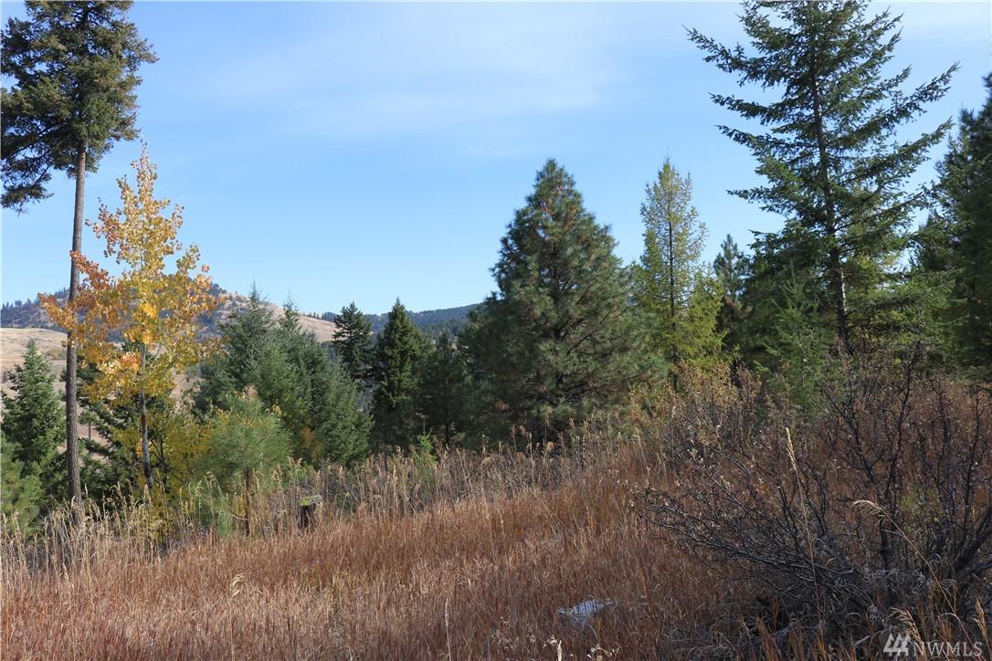 0 Wilcox Mountain Rd - Photo 1