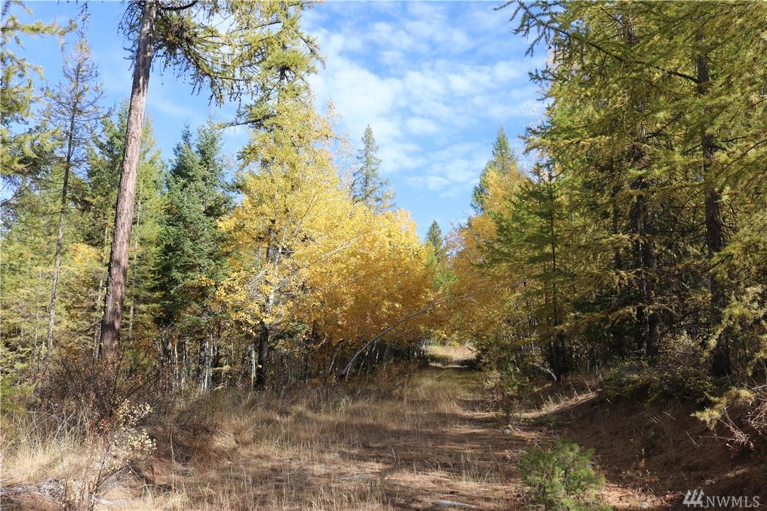0 Wilcox Mountain Rd - Photo 1