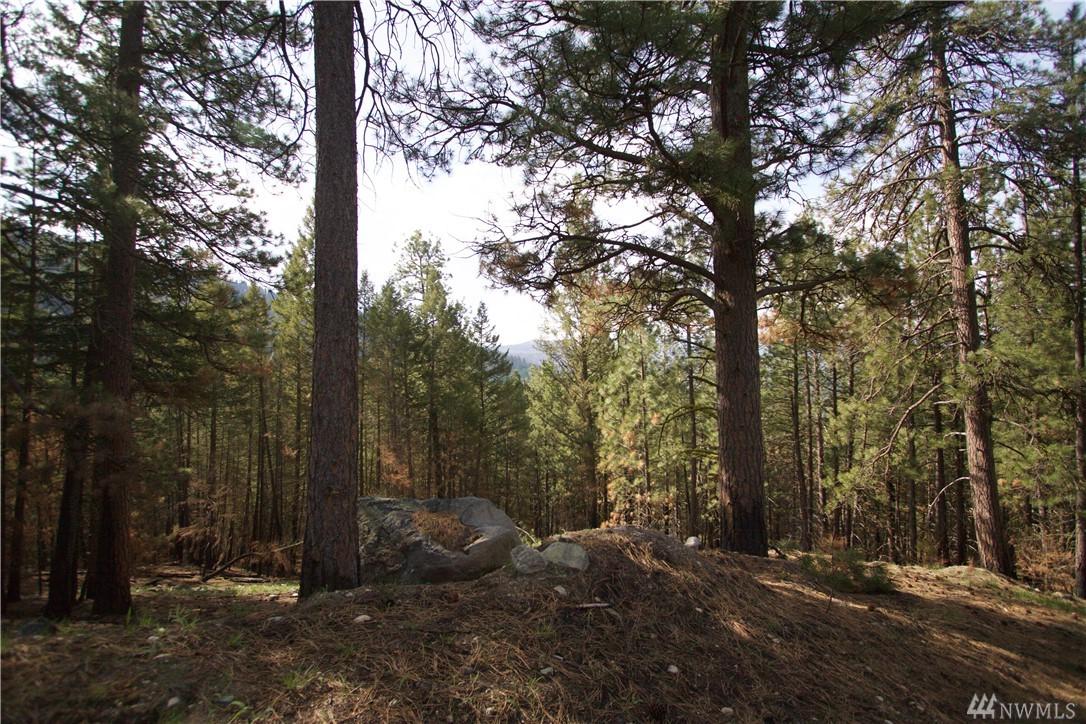 1839 Tunk Creek Rd - Photo 1