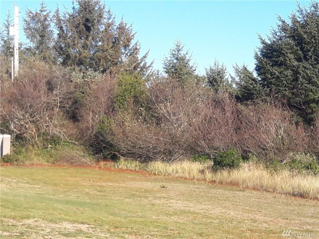 533 Sunset Ave - Photo 1