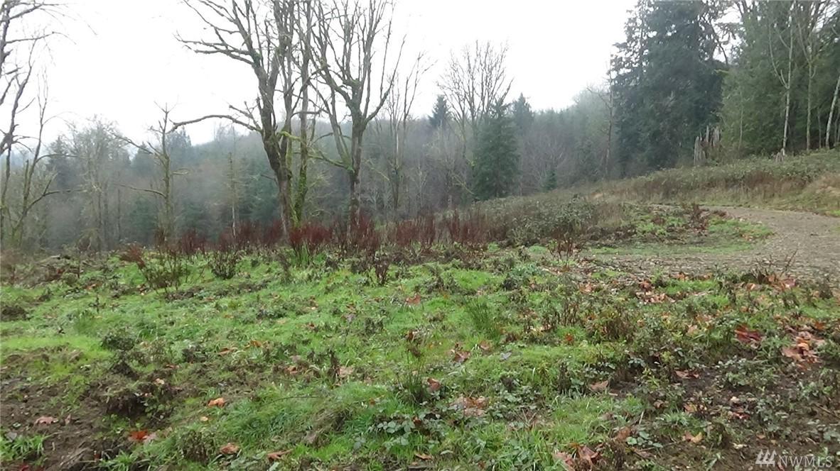 0 Goble Creek Rd - Photo 1