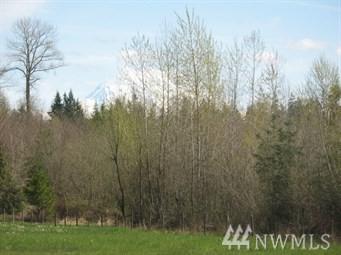 0 Meridian - Photo 1