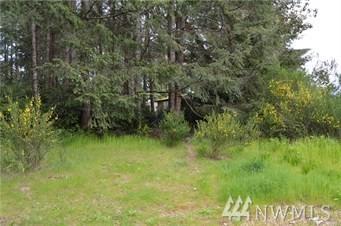 2530 Sand Dollar Rd - Photo 1