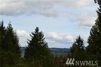 2538 Sand Dollar Rd - Photo 1