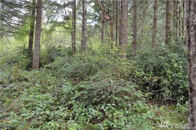2546 Sand Dollar Rd - Photo 1