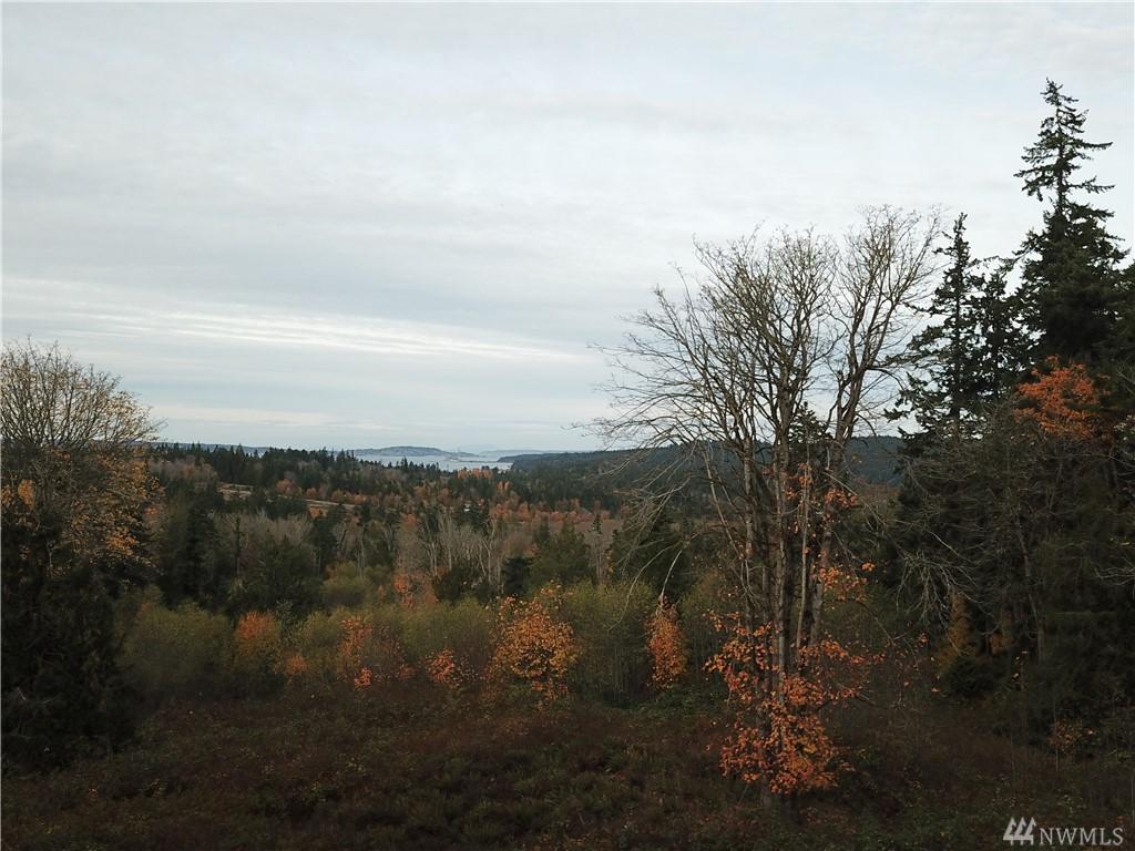 206 Liberty St. - Photo 1