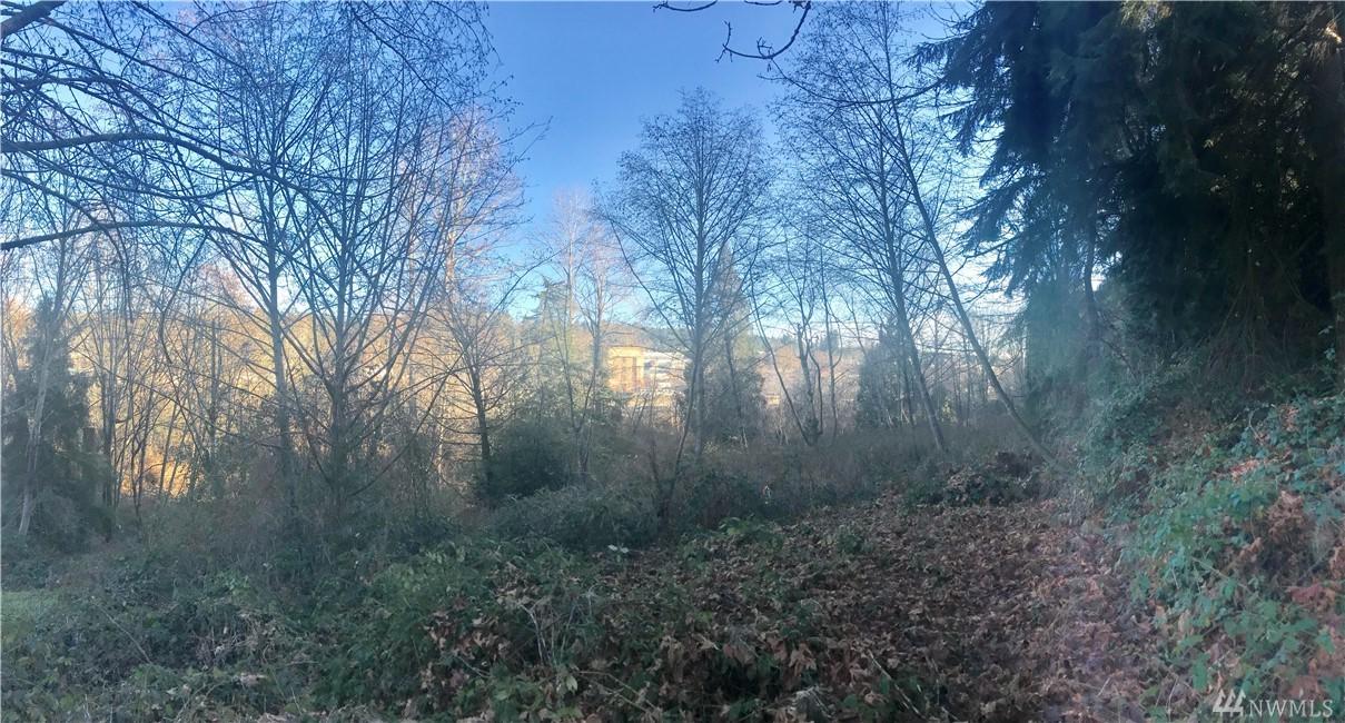 19410 136th Ave - Photo 1