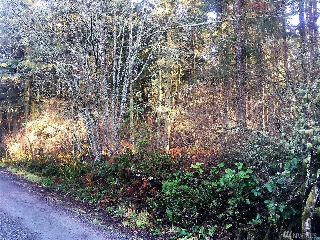 29 Decatur Shores II - Photo 1