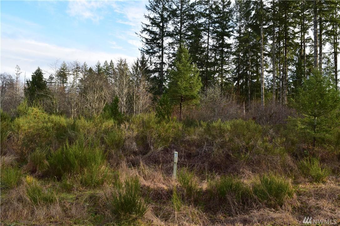 170 Salmonberry Dr - Photo 1