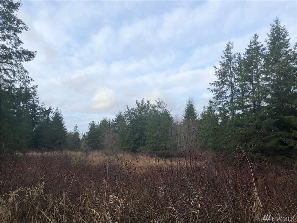 0 Loomis Trail Rd - Photo 1
