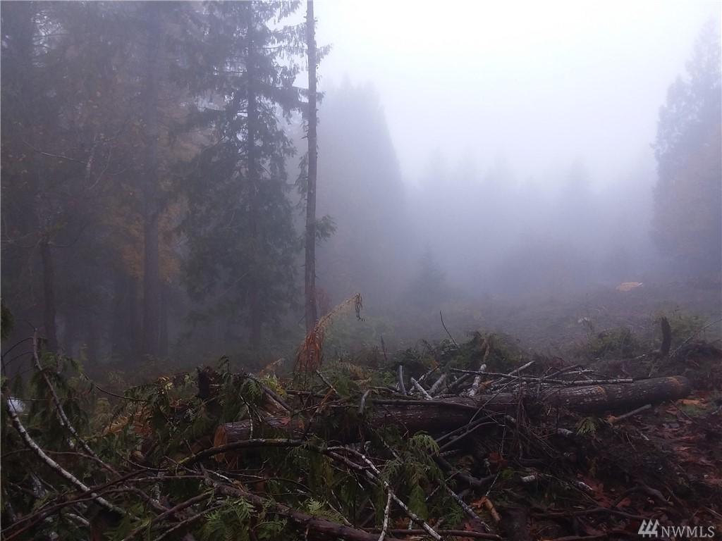 80-XXX Hippie Hill Rd - Photo 1