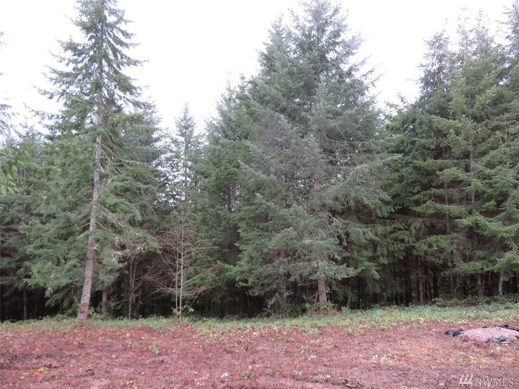 415 Champion Rd - Photo 1
