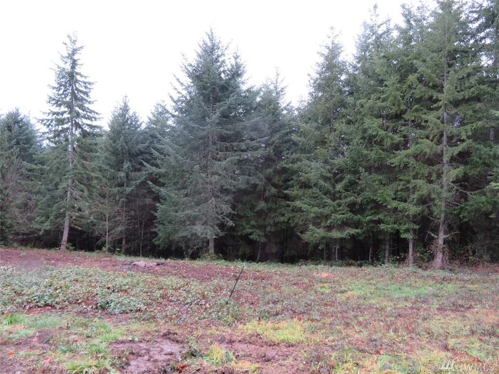459 Champion Rd - Photo 1