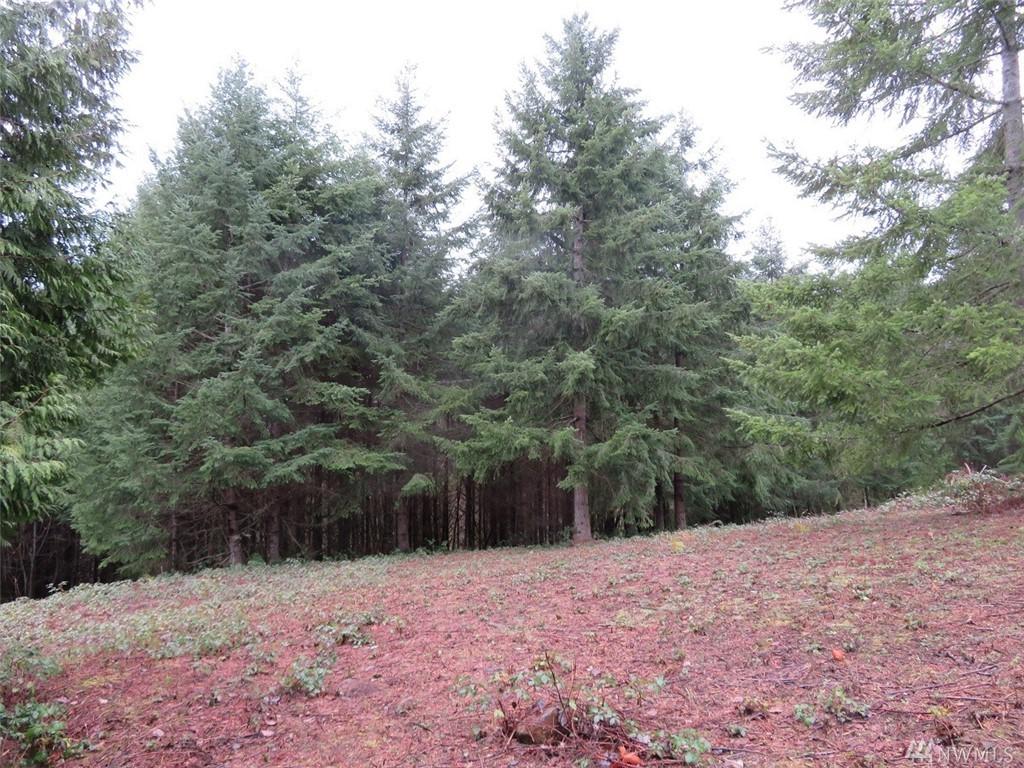 0-415-459 Champion Rd - Photo 1