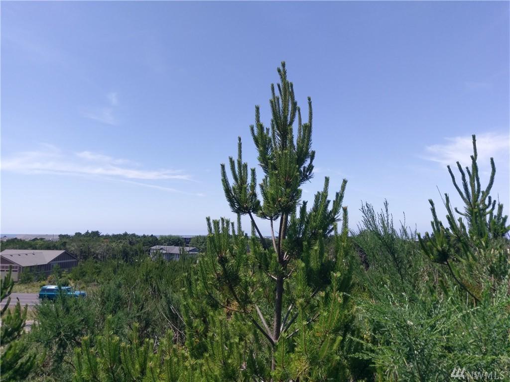 31809 J Place - Photo 1