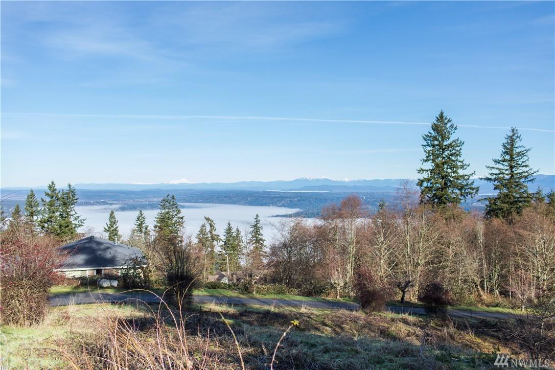 17617 Cougar Mountain Dr - Photo 1