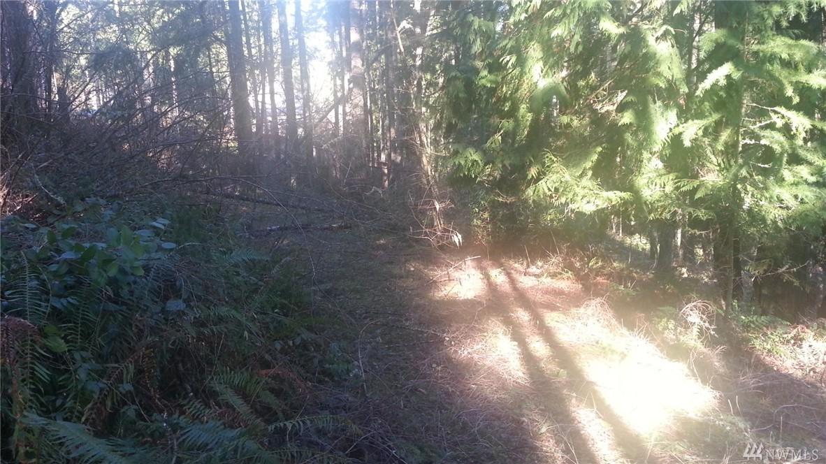 18112 Big Fir Ct - Photo 1