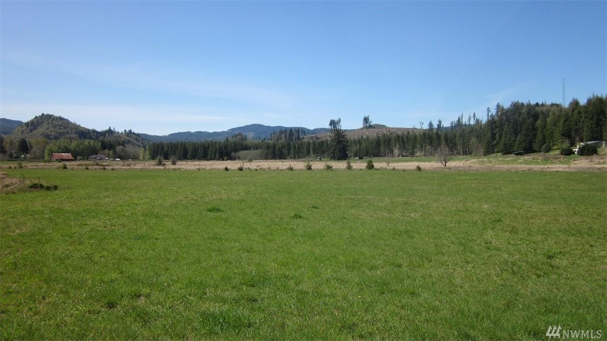 0-Lot 5 Doyle Rd - Photo 1