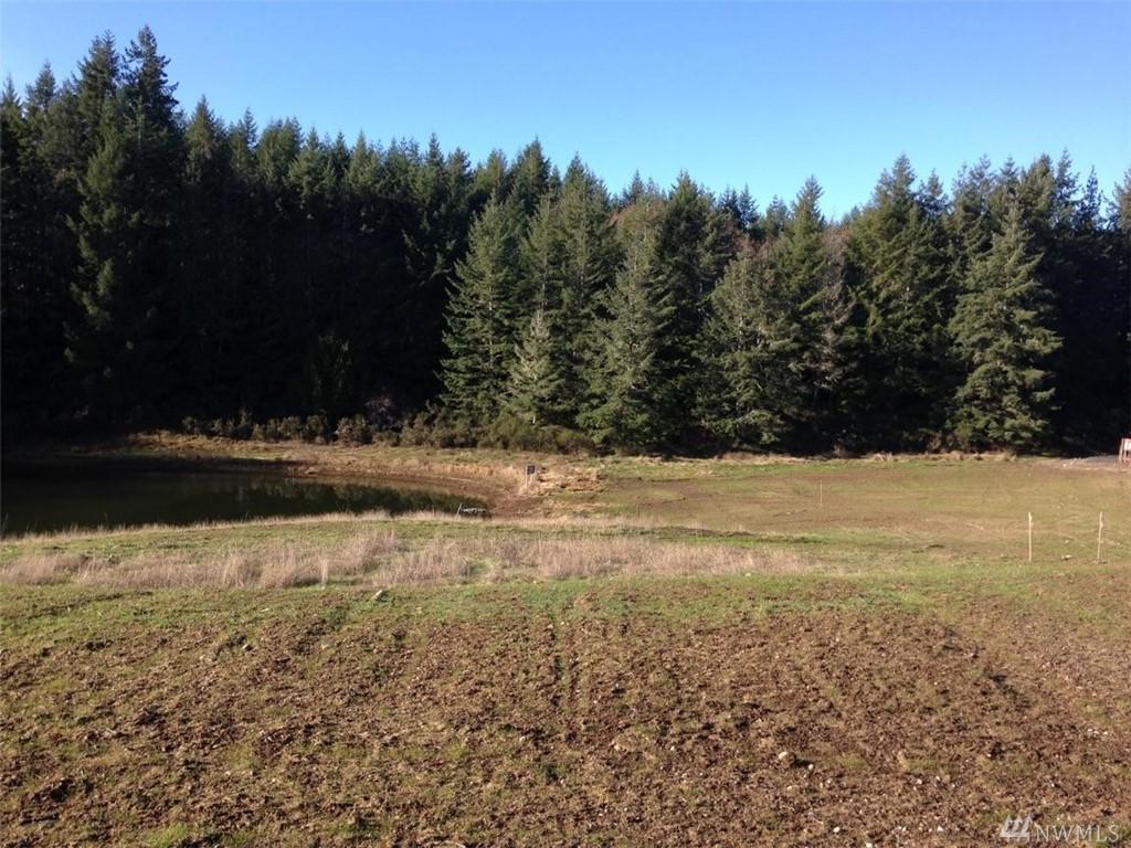 0-Lot 8 Eugenia Place - Photo 1