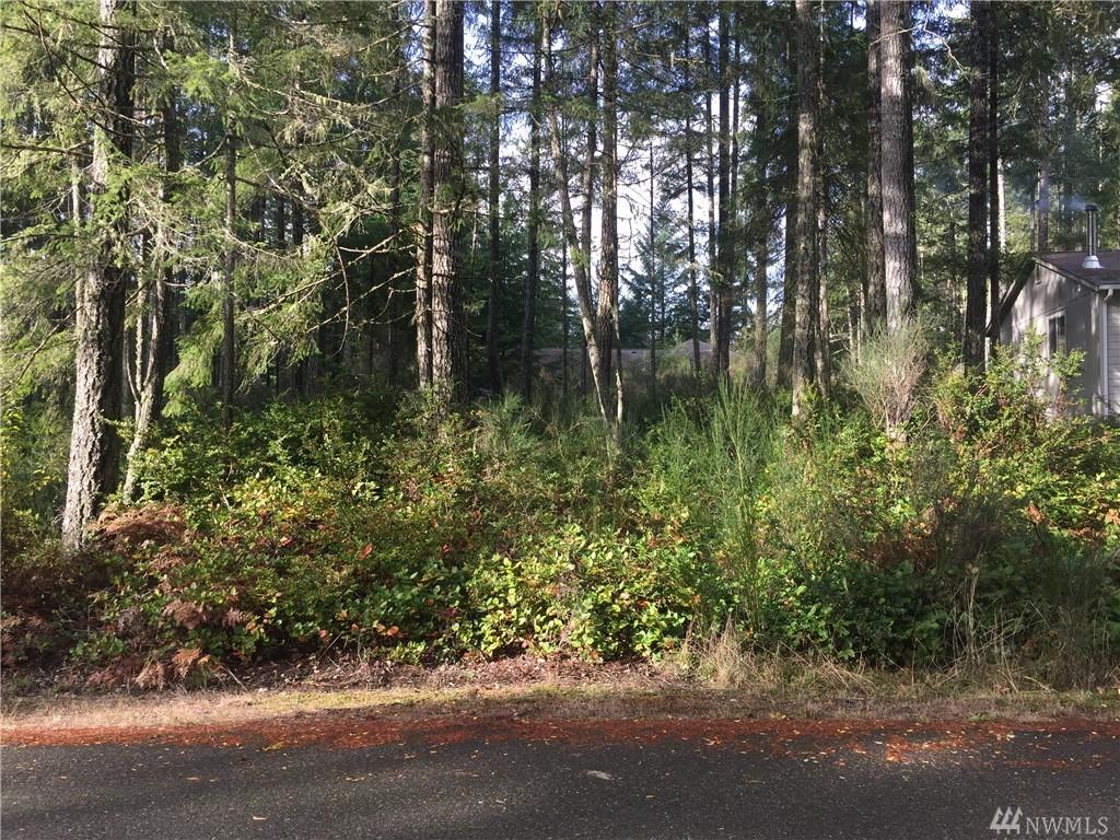 40 Paint Brush Lane - Photo 1