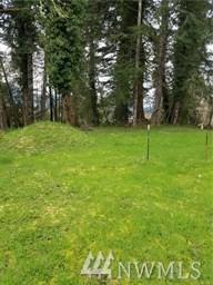 54918 306th Ave - Photo 1