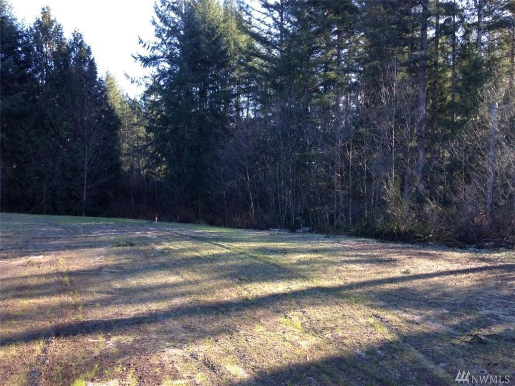 0-Lot 12 Eugenia Place - Photo 1
