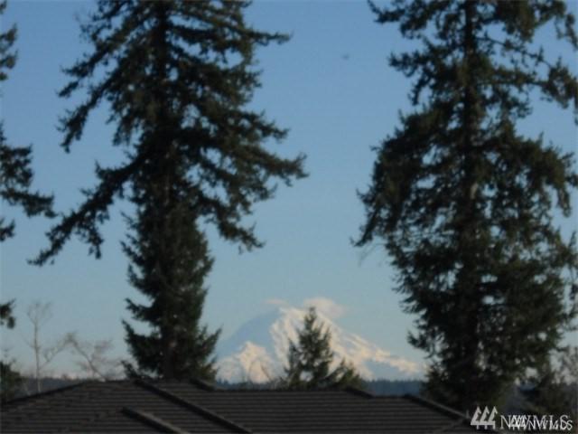 12615 101st Av Ct - Photo 1