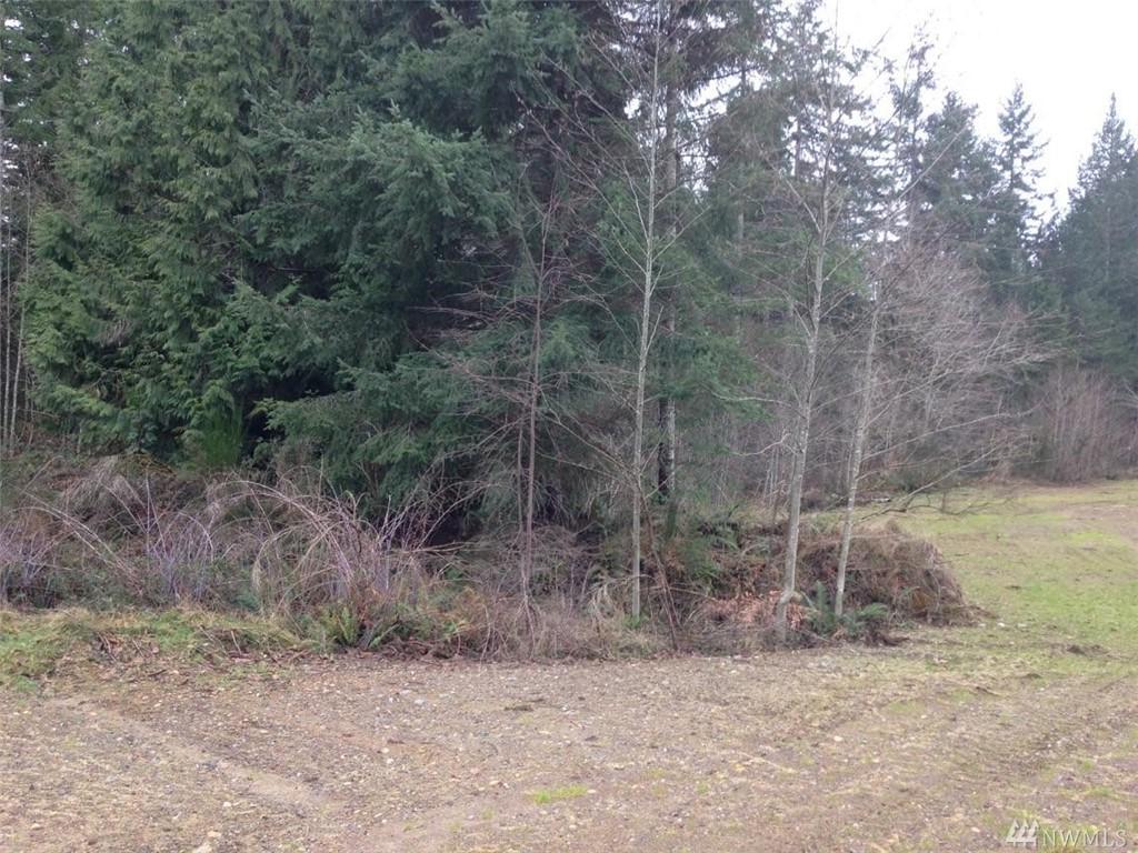 50 Virgil Dr - Photo 1