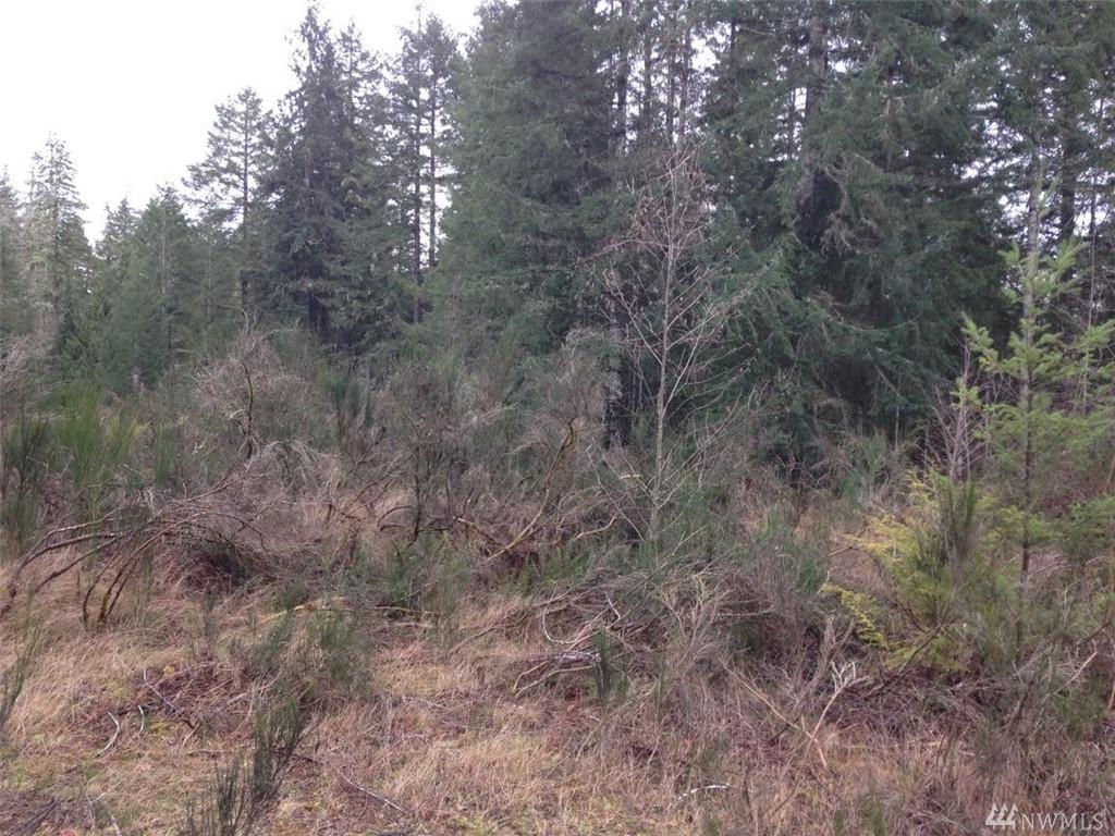 0-Lot 17 Virgil Dr - Photo 1