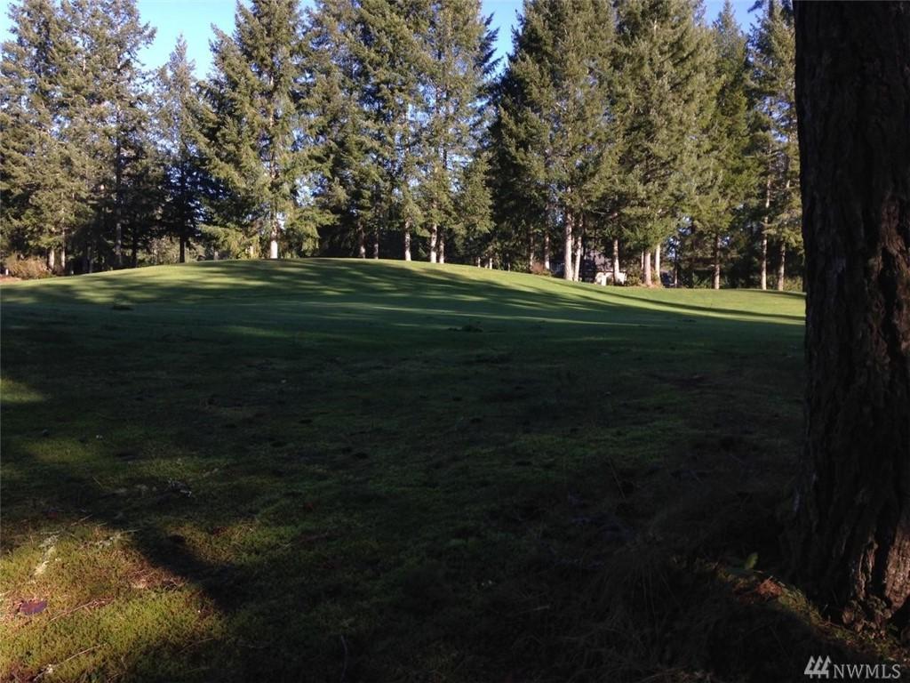 0-Lot 23 Virgil Dr - Photo 1