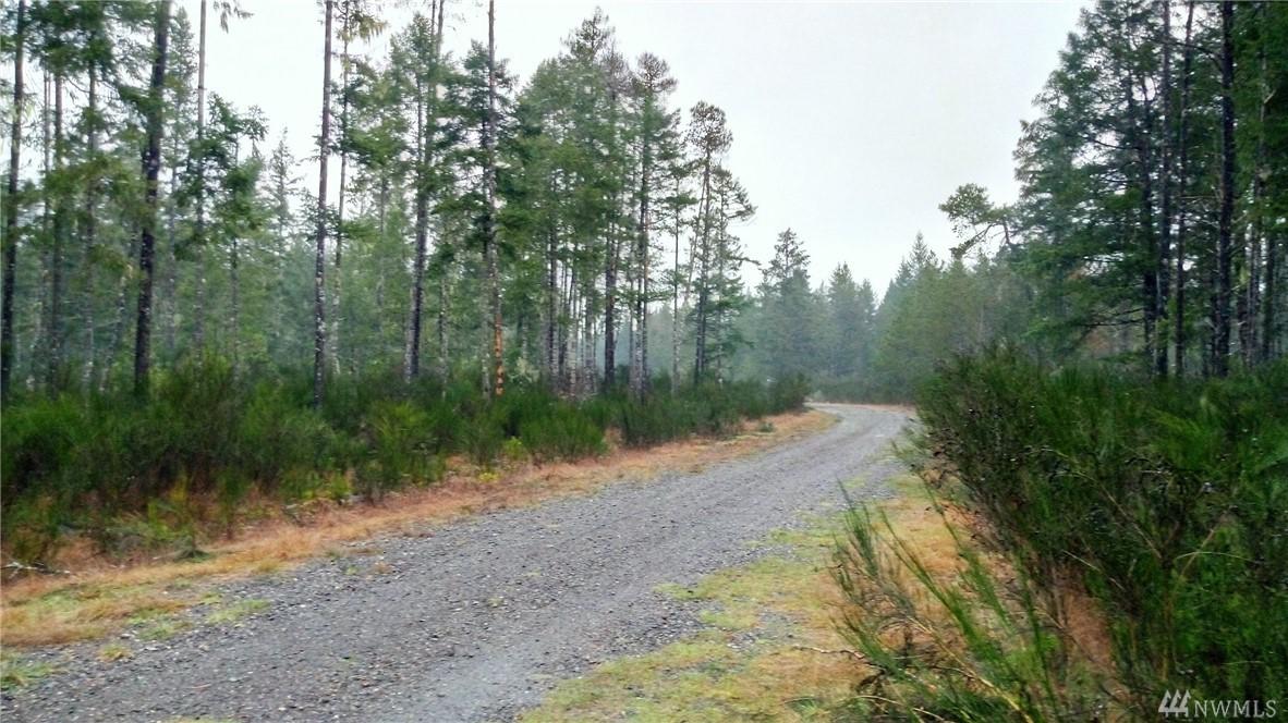 5111 Brockdale Rd - Photo 1