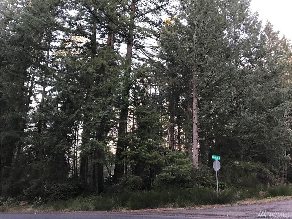11311 Hillcrest Dr - Photo 1
