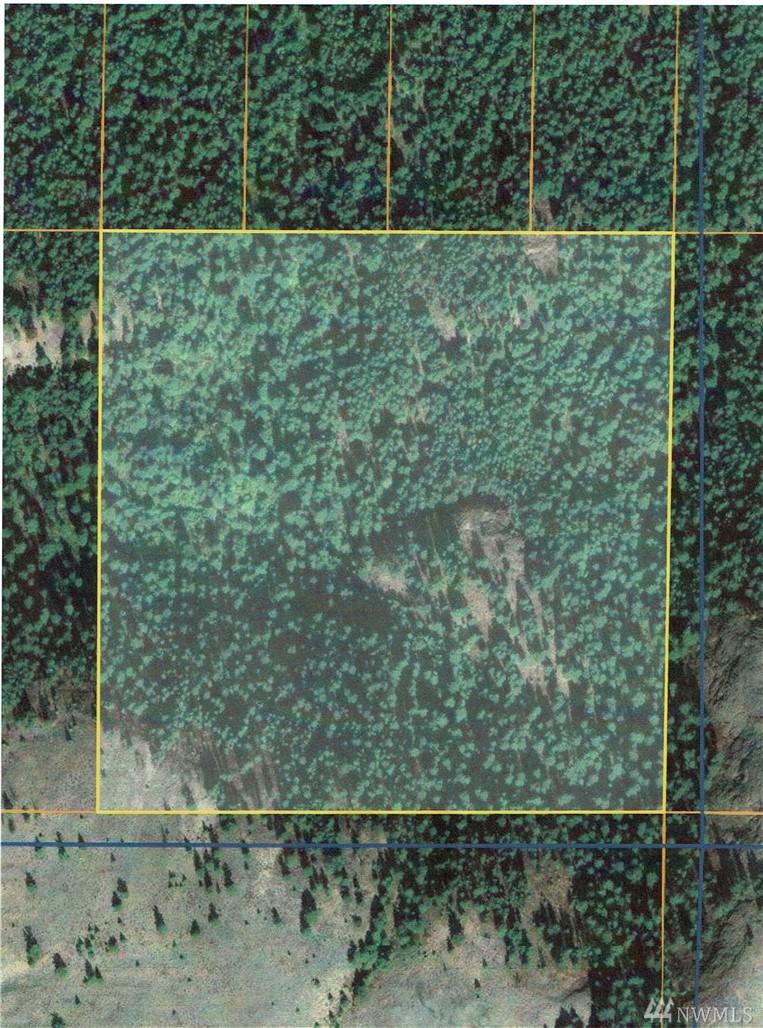 0-TBD Lambert Creek Rd - Photo 1