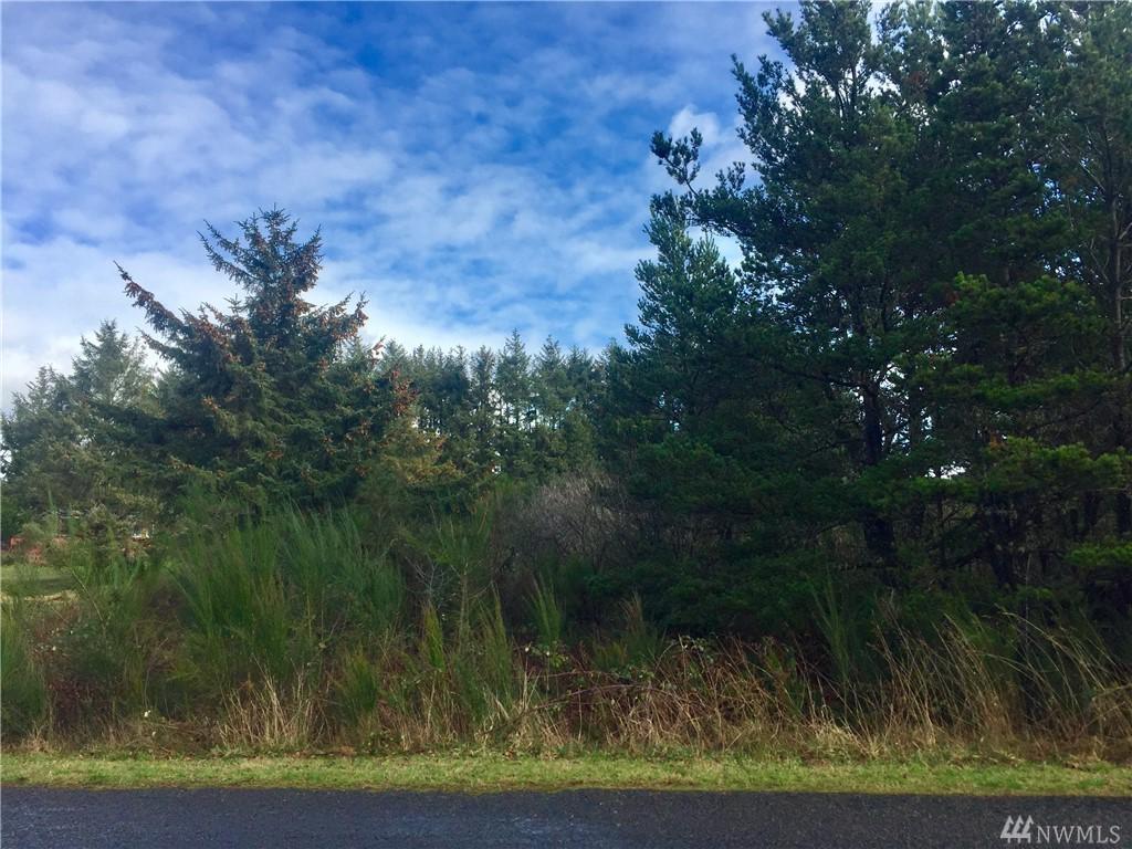 1-XXX Sandy Dr - Photo 1