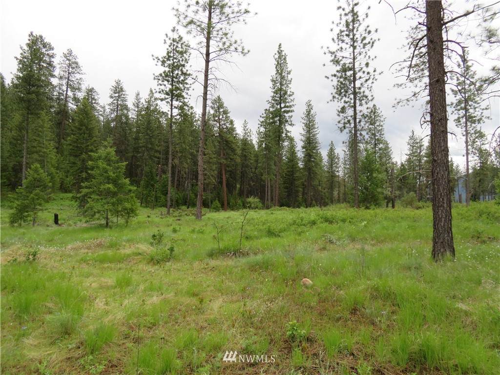 0 San Poil Road - Photo 1